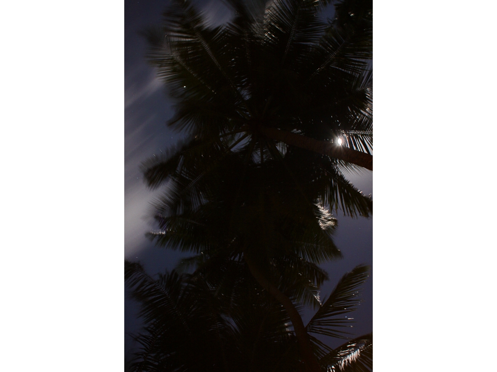 2010-10-21 19-48-46 - Maldives 2010 IMG_5978 2010-10-21 19-48-46 - Maldives 2010 IMG_5978